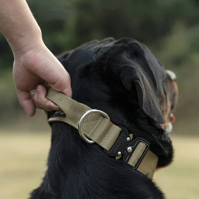 Tactical Dog Collar with Handle β GripMaster