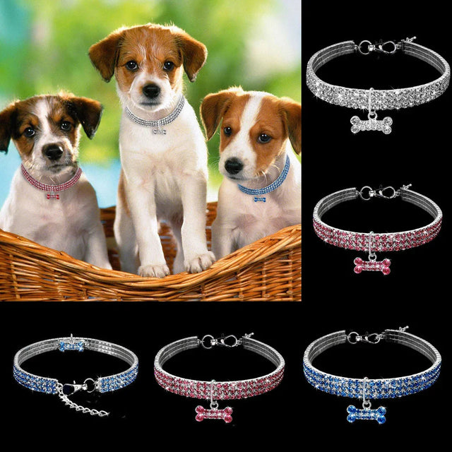 Glamorous Pet Collar β SparkleCollar