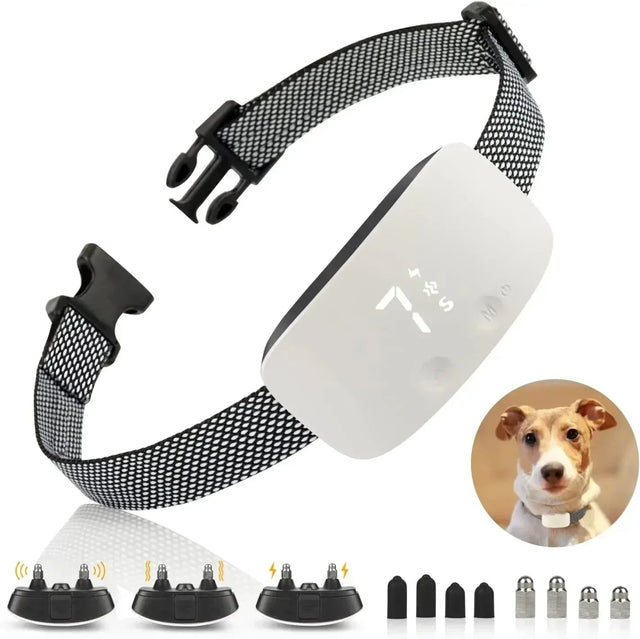 StilPoot Dog Training Collar Rechargeable and Waterproof |