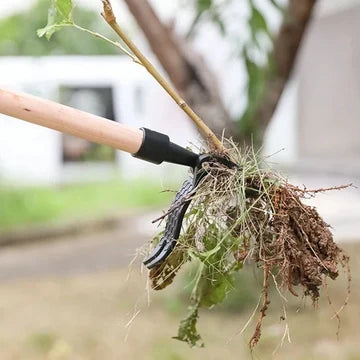 Cleaning Tools