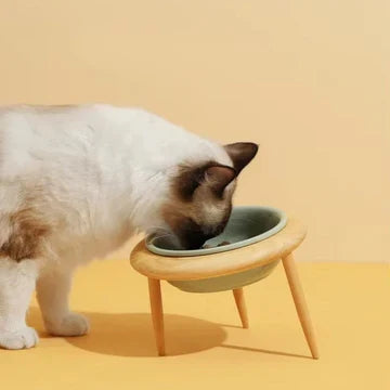 Pets