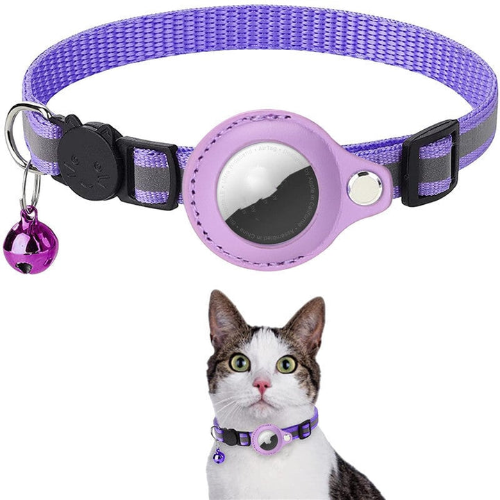 Stay Connected: pet locator collar