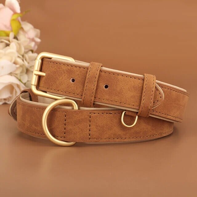 Pup Collar