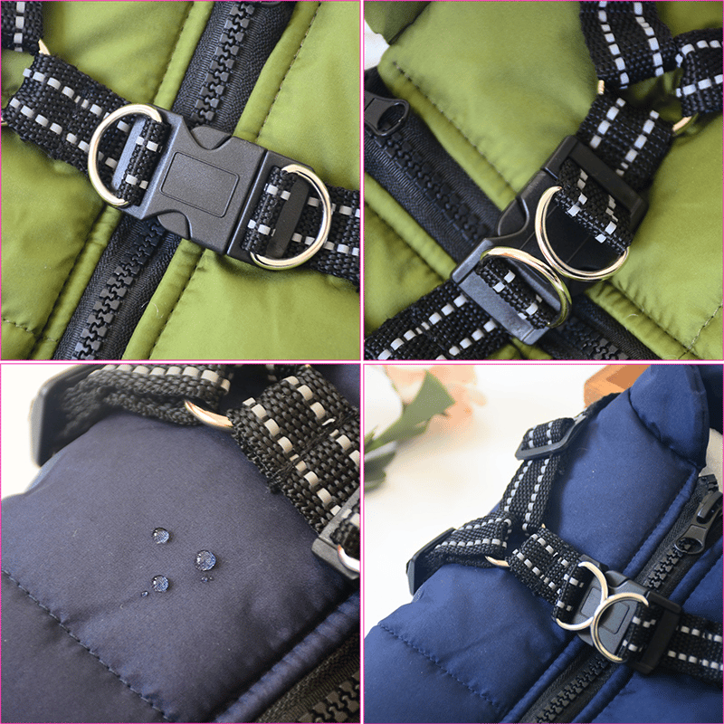 Winter Dog Jacket with Harness |