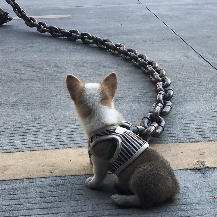 Funny Large Dog Collar