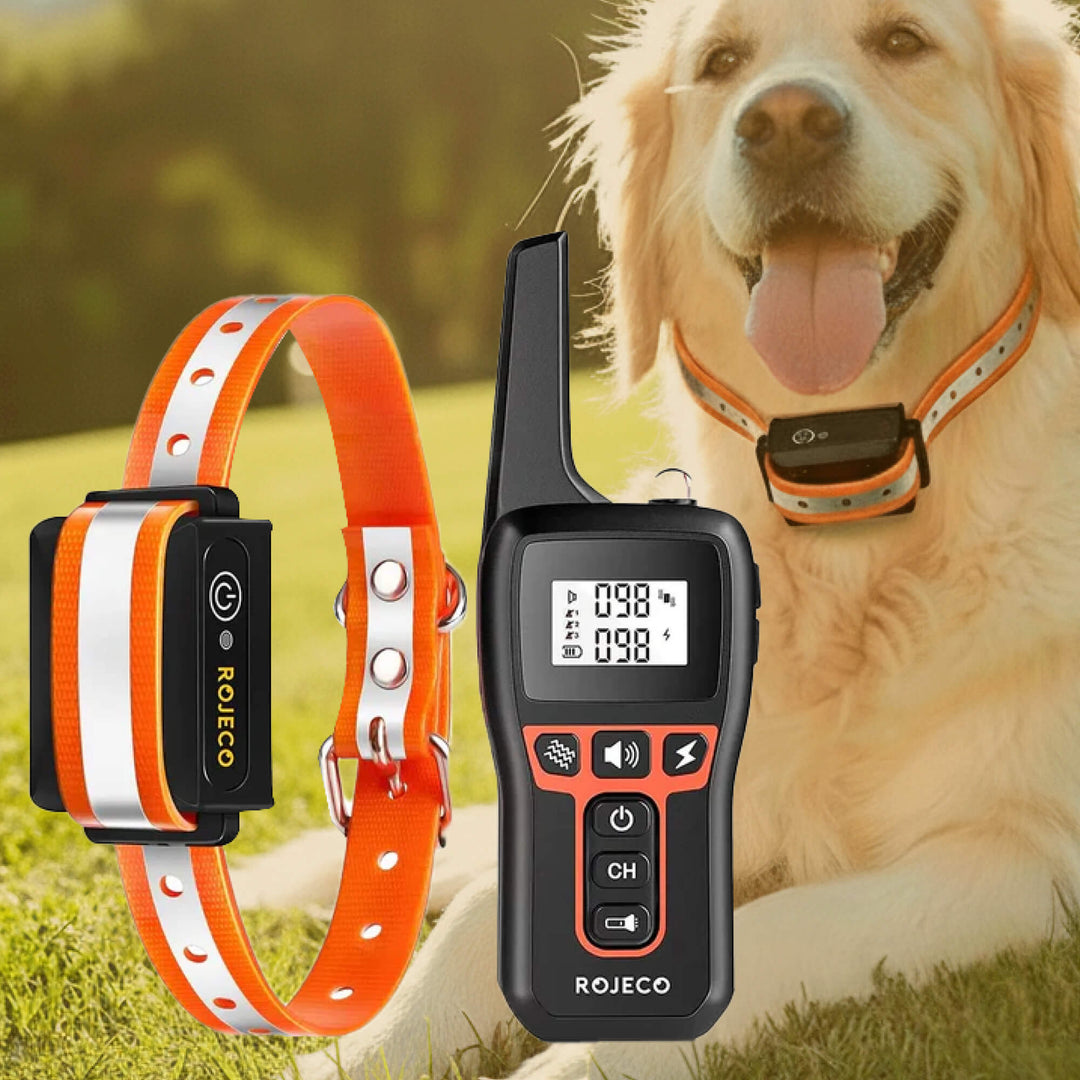 1000m Waterproof Dog Training Collar | Rechargeable, Remote Control &amp; Adjustable for Small, Medium, and Large Dogs