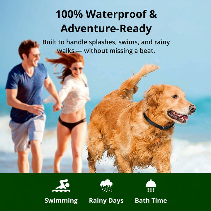 1000m Waterproof Dog Training Collar | Rechargeable, Remote Control &amp; Adjustable for Small, Medium, and Large Dogs