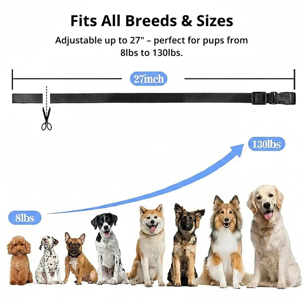 1000m Waterproof Dog Training Collar | Rechargeable, Remote Control &amp; Adjustable for Small, Medium, and Large Dogs
