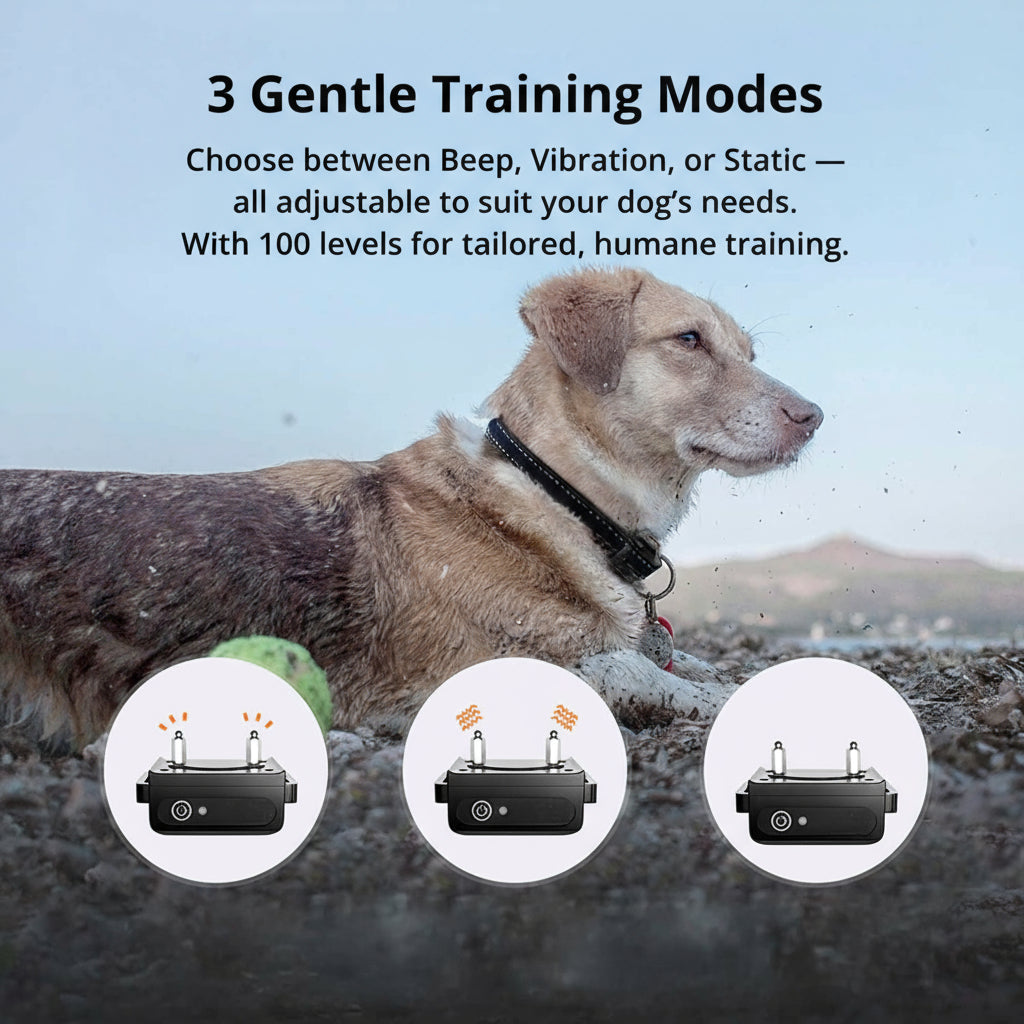 1000m Waterproof Dog Training Collar | Rechargeable, Remote Control &amp; Adjustable for Small, Medium, and Large Dogs