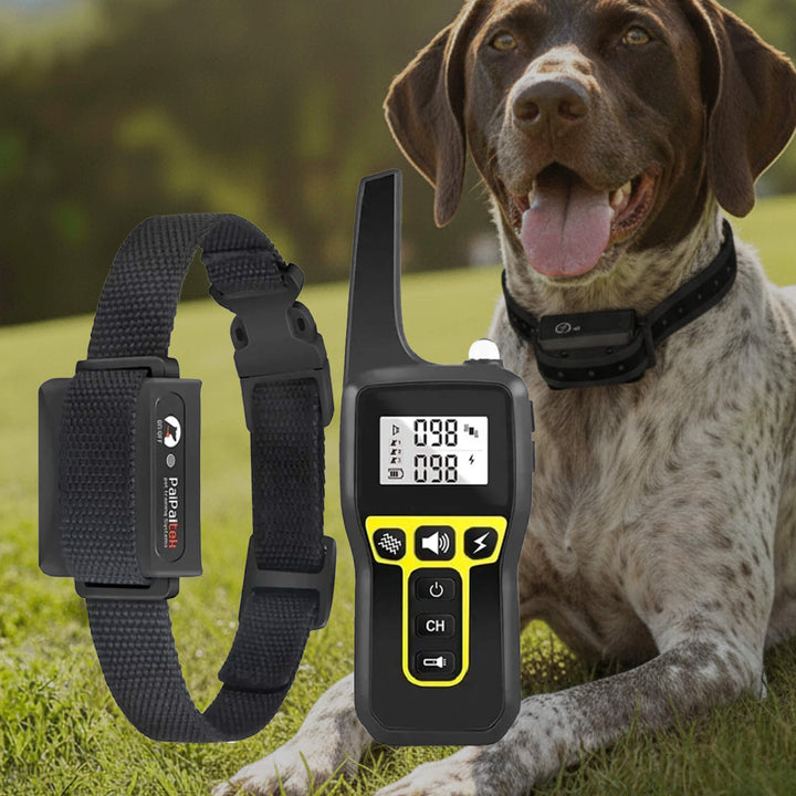 1000m Waterproof Dog Training Collar | Rechargeable, Remote Control &amp; Adjustable for Small, Medium, and Large Dogs