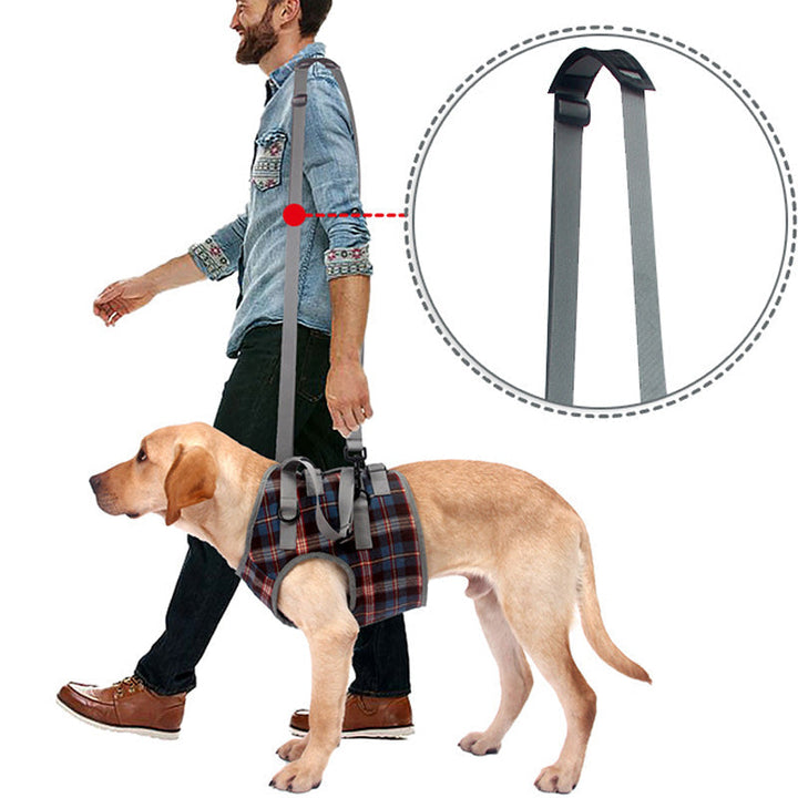 Orthopedic Rear Leg Support Harness for Dogs – Ideal for Arthritis, Hip Dysplasia &amp; Mobility Aid