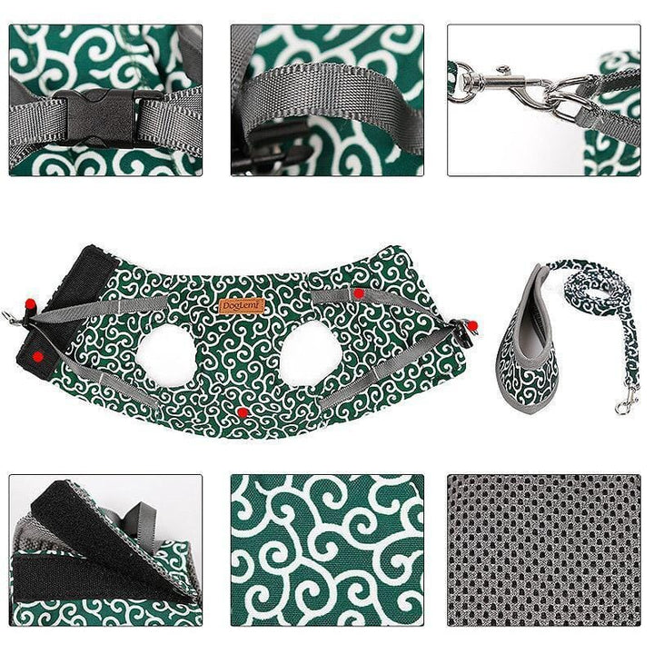 Cat vest harness and leash set for walks