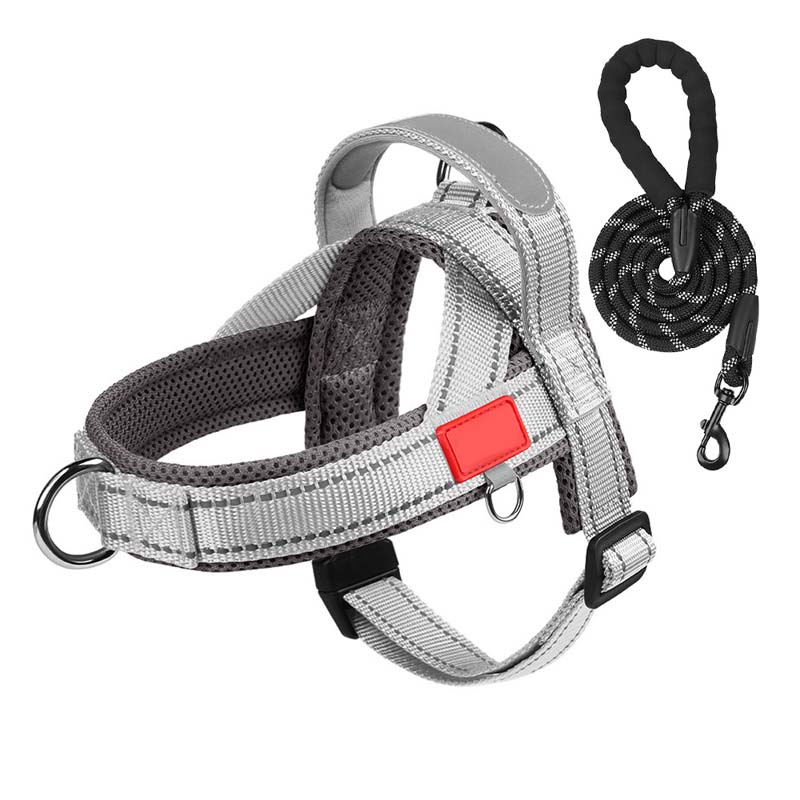 PawEase Comfort Harness — Relaxed Dressing and Unlimited Freedom for Your Dog |