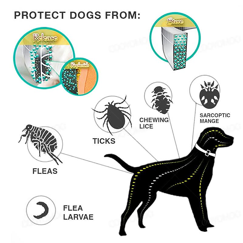 PAWTECT - Anti-tick and flea collar