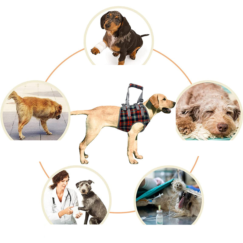 Orthopedic Rear Leg Support Harness for Dogs – Ideal for Arthritis, Hip Dysplasia &amp; Mobility Aid