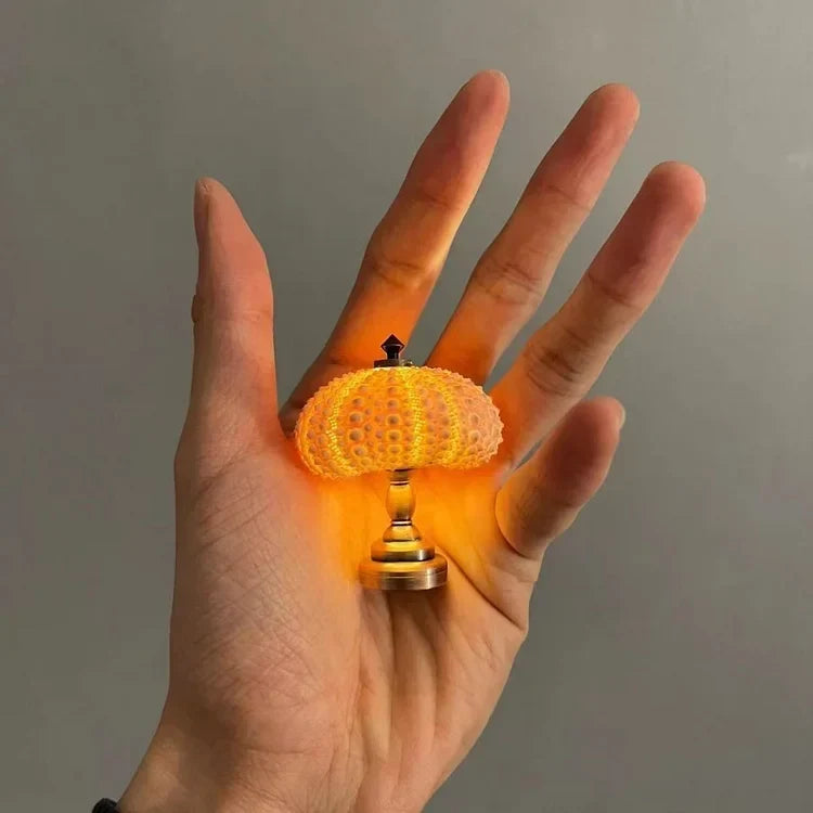 LumiCraft – Unique DIY table lamp with natural sea shell for a cozy décor