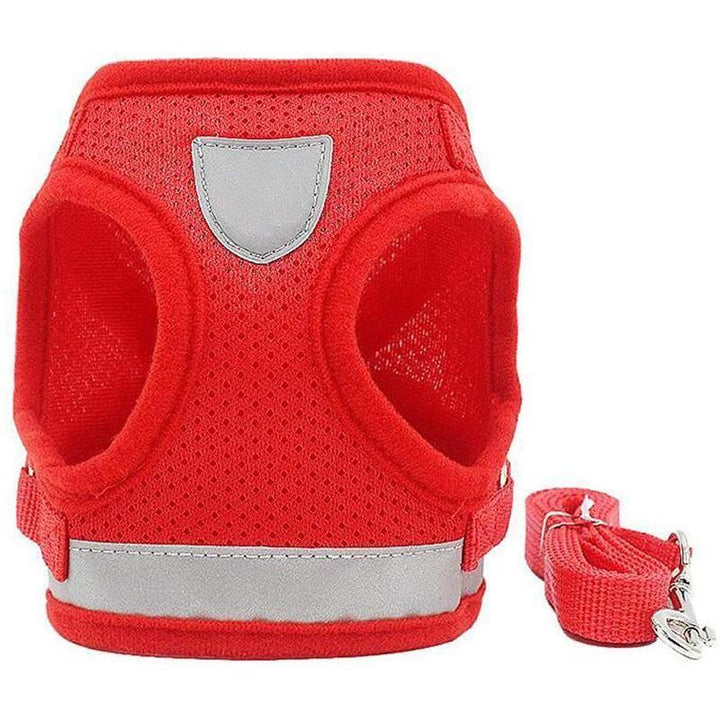 Reflective Safety Dog Harness and Leash Set Offer