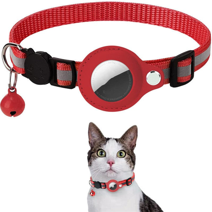 Stay Connected: pet locator collar