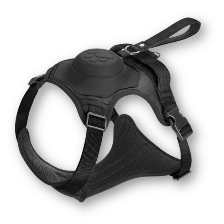 FlexiHarness – Comfortable 2-in-1 Dog Harness with Leash