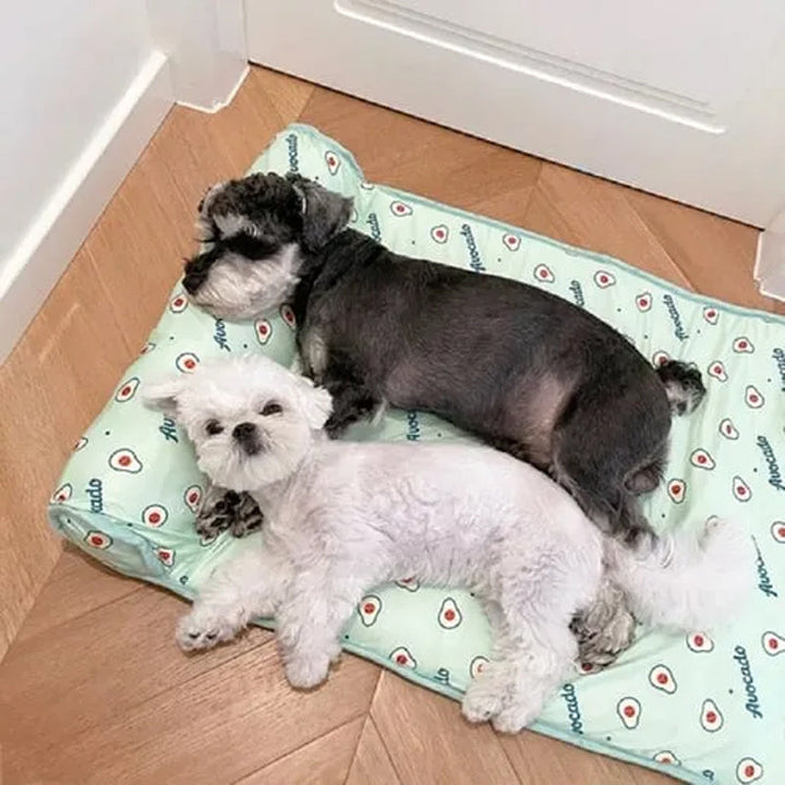 Ice Silk Cooling Mat for Dogs &amp; Cats🐶 |