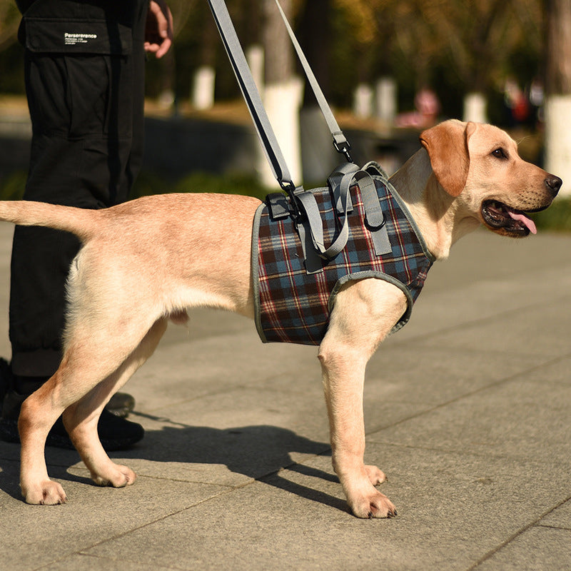 Orthopedic Rear Leg Support Harness for Dogs – Ideal for Arthritis, Hip Dysplasia &amp; Mobility Aid