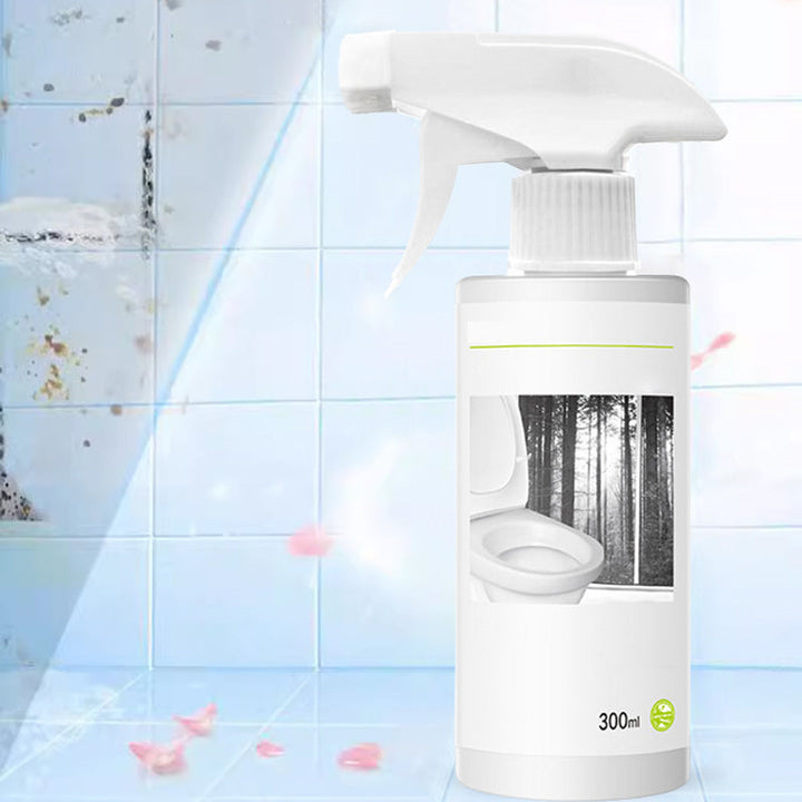 Powerful cleaner for stains in toilet shine with oxalic acid