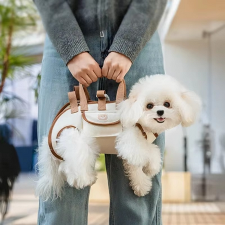 Multi-Function Pet Harness and Carrier Backpack for Small Dogs and Cats