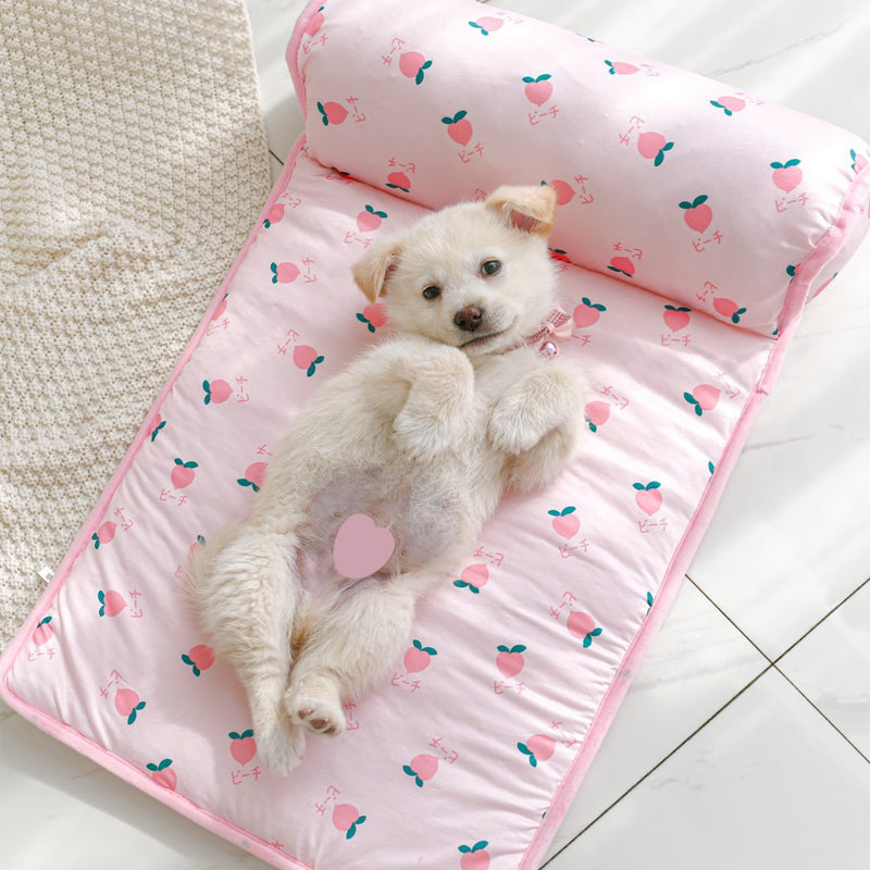 Ice Silk Cooling Mat for Dogs &amp; Cats🐶 |