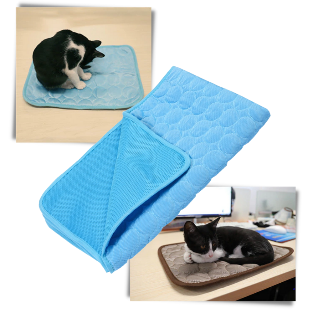 Cooling Mat for Pets |
