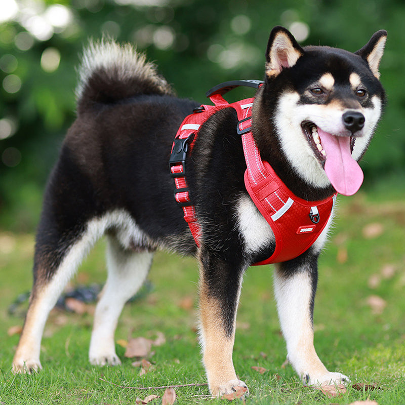 Reflective Dog Harness |