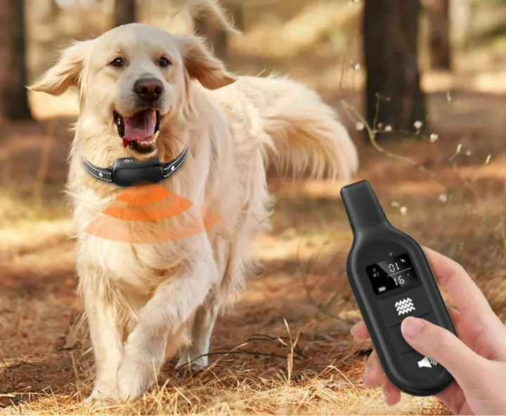 Dog Coach Pro Training Collar – Waterproof Electronic Collar with Remote Control