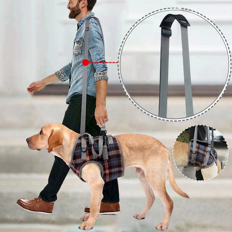 Orthopedic Rear Leg Support Harness for Dogs – Ideal for Arthritis, Hip Dysplasia &amp; Mobility Aid