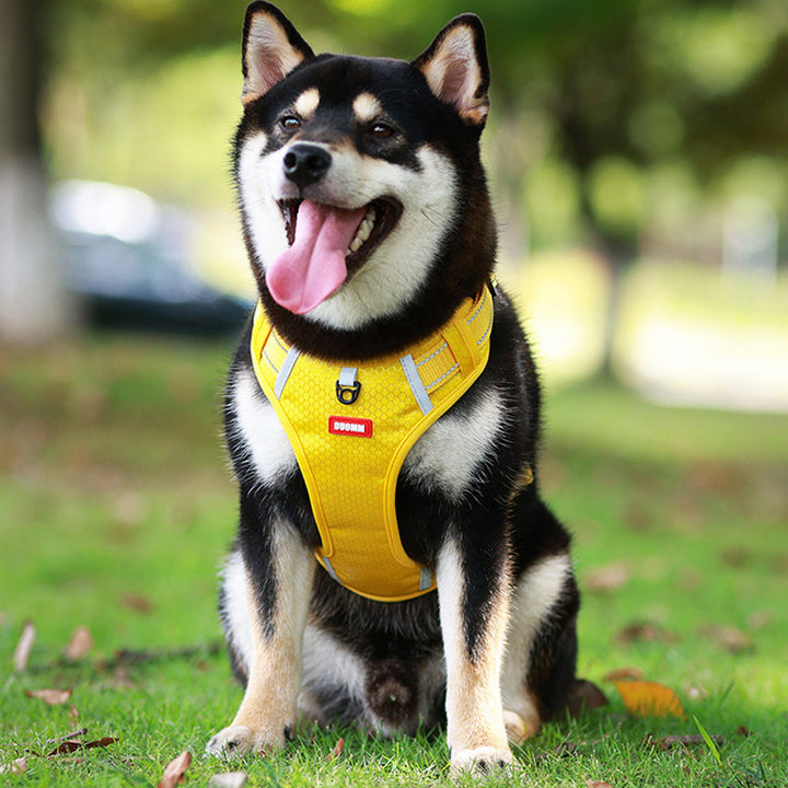 Reflective Dog Harness |