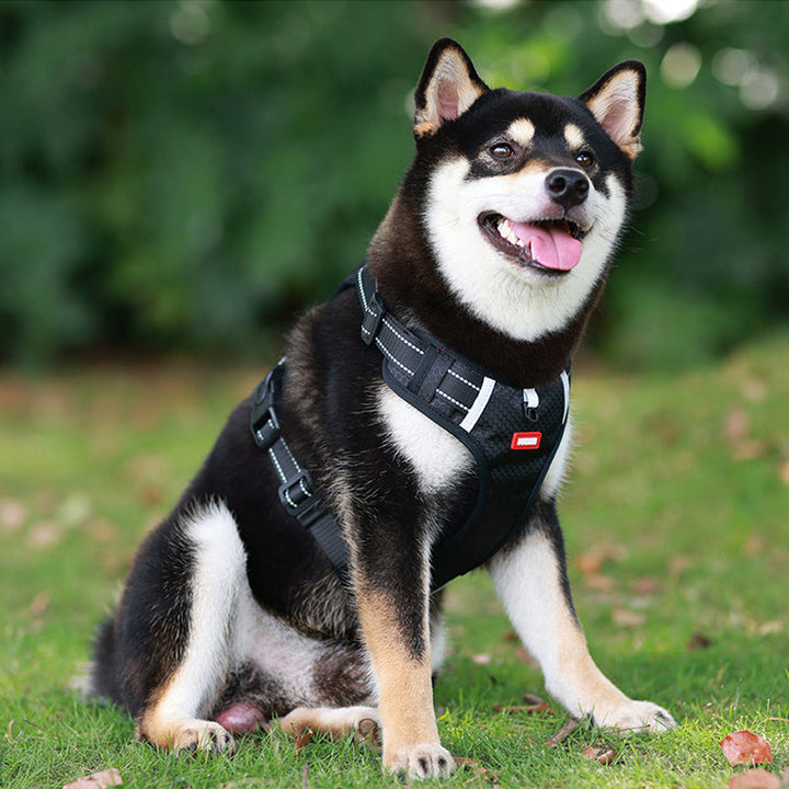 Reflective Dog Harness |