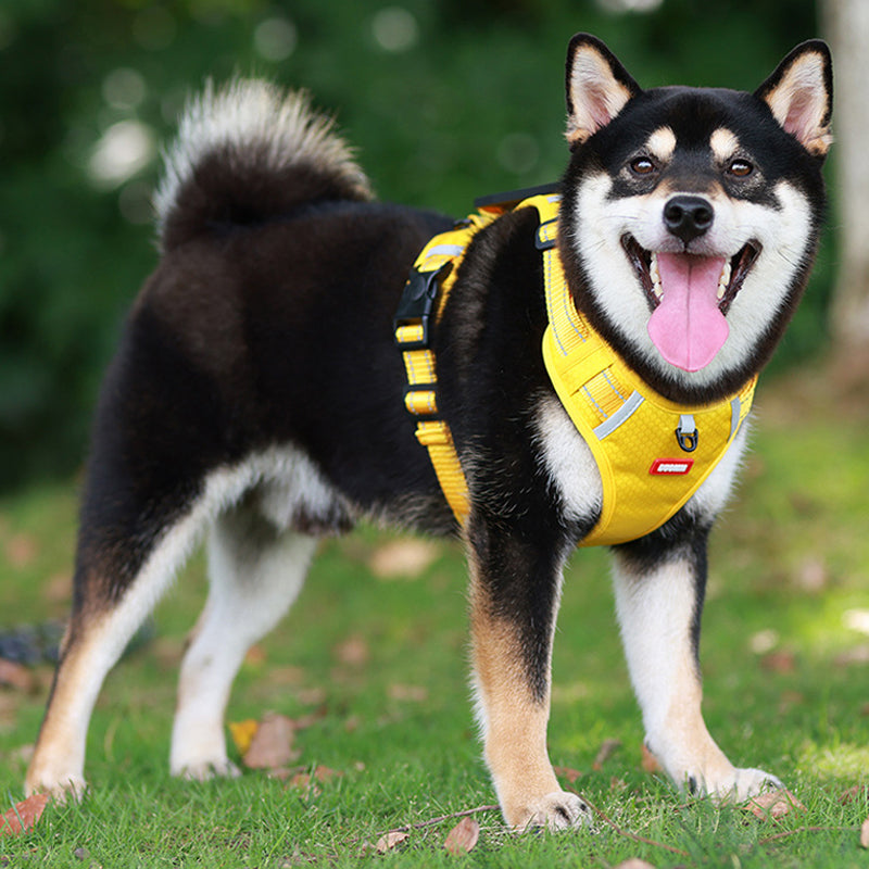 Reflective Dog Harness |