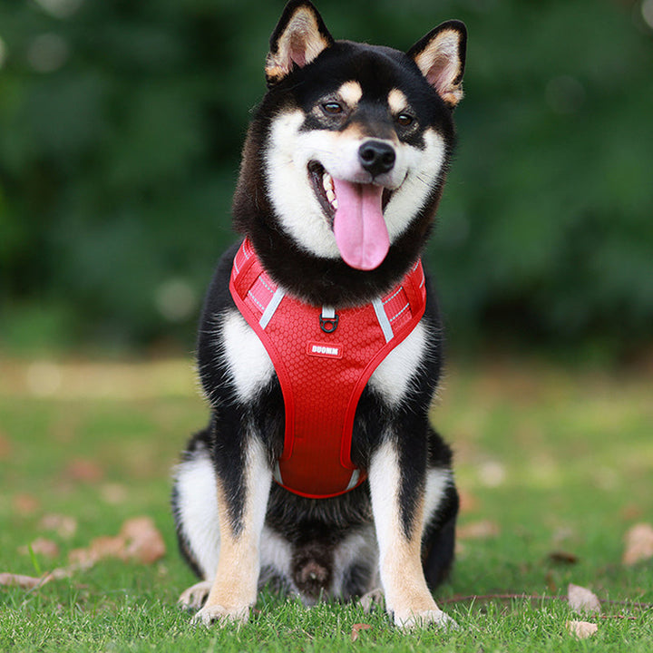 Reflective Dog Harness |