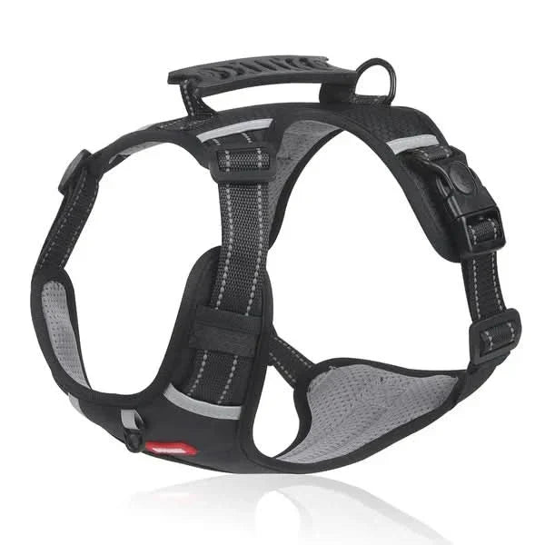 anti-pull dog harness for pain-free walks