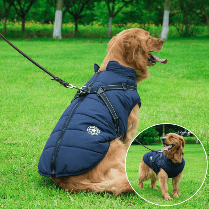 Winter Dog Jacket with Harness |