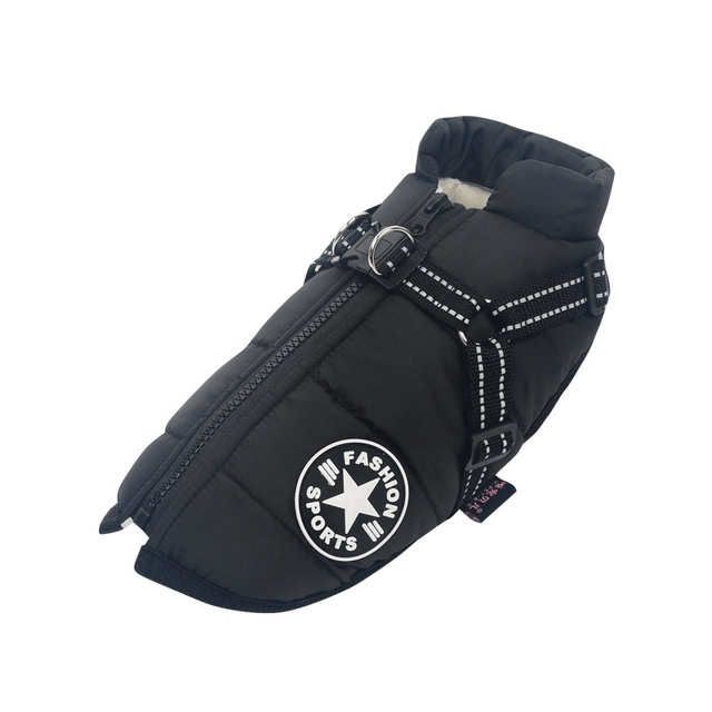 Winter Dog Jacket with Harness |