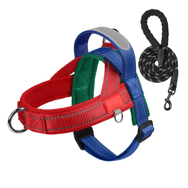 PawEase Comfort Harness — Relaxed Dressing and Unlimited Freedom for Your Dog |