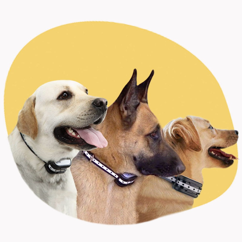 SafeZone Wireless Dog Fence &amp; Training Collar – Rechargeable, Waterproof &amp; Pet-Friendly Correction Modes