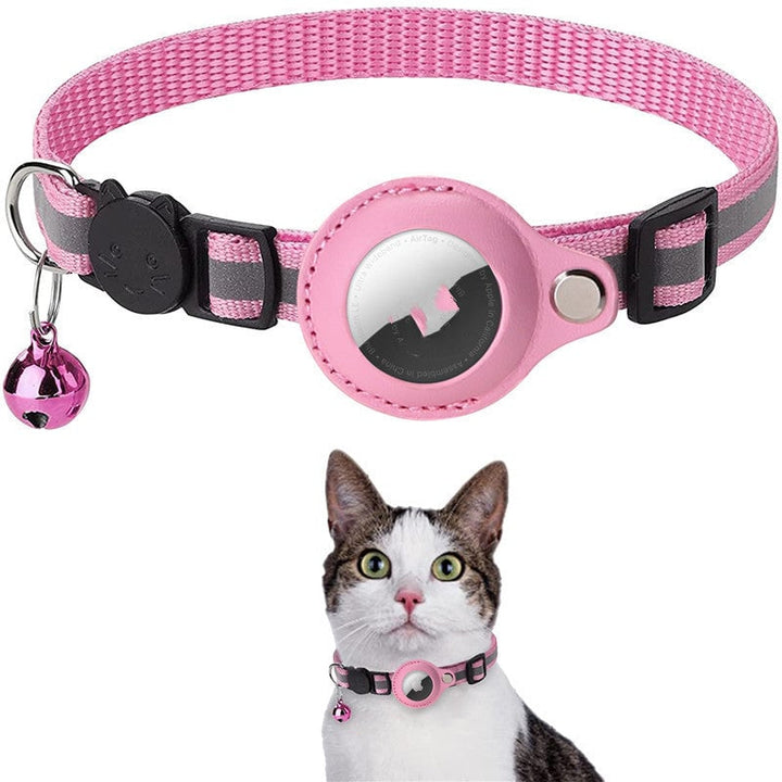 Stay Connected: pet locator collar