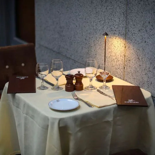 Spikelight™ - Waterproof &amp; Dimmable Wired Lighting