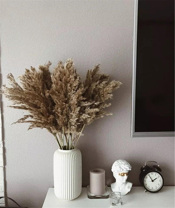 60 cm natural, real, brown-beige dried pampas grass bouquet │ fluffy feather for modern boho home decoration