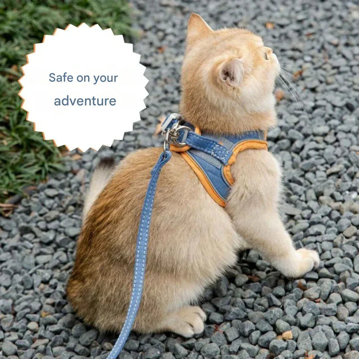 Adventurous Cat Harness with Leash – Adjustable and Reflective |