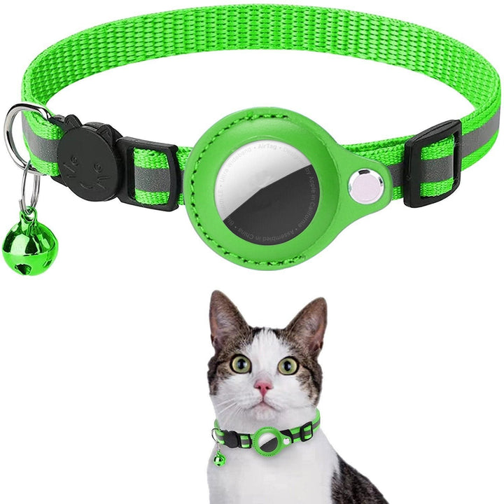 Stay Connected: pet locator collar