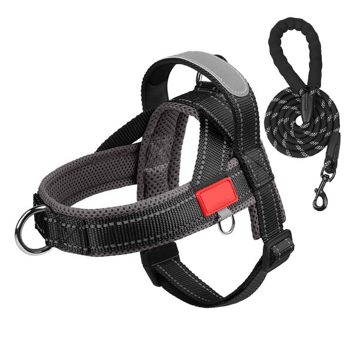 PawEase Comfort Harness — Relaxed Dressing and Unlimited Freedom for Your Dog |
