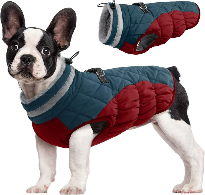 SafeWalk Winter Harness Jacket – Waterproof dog jacket with reflection and fleece lining