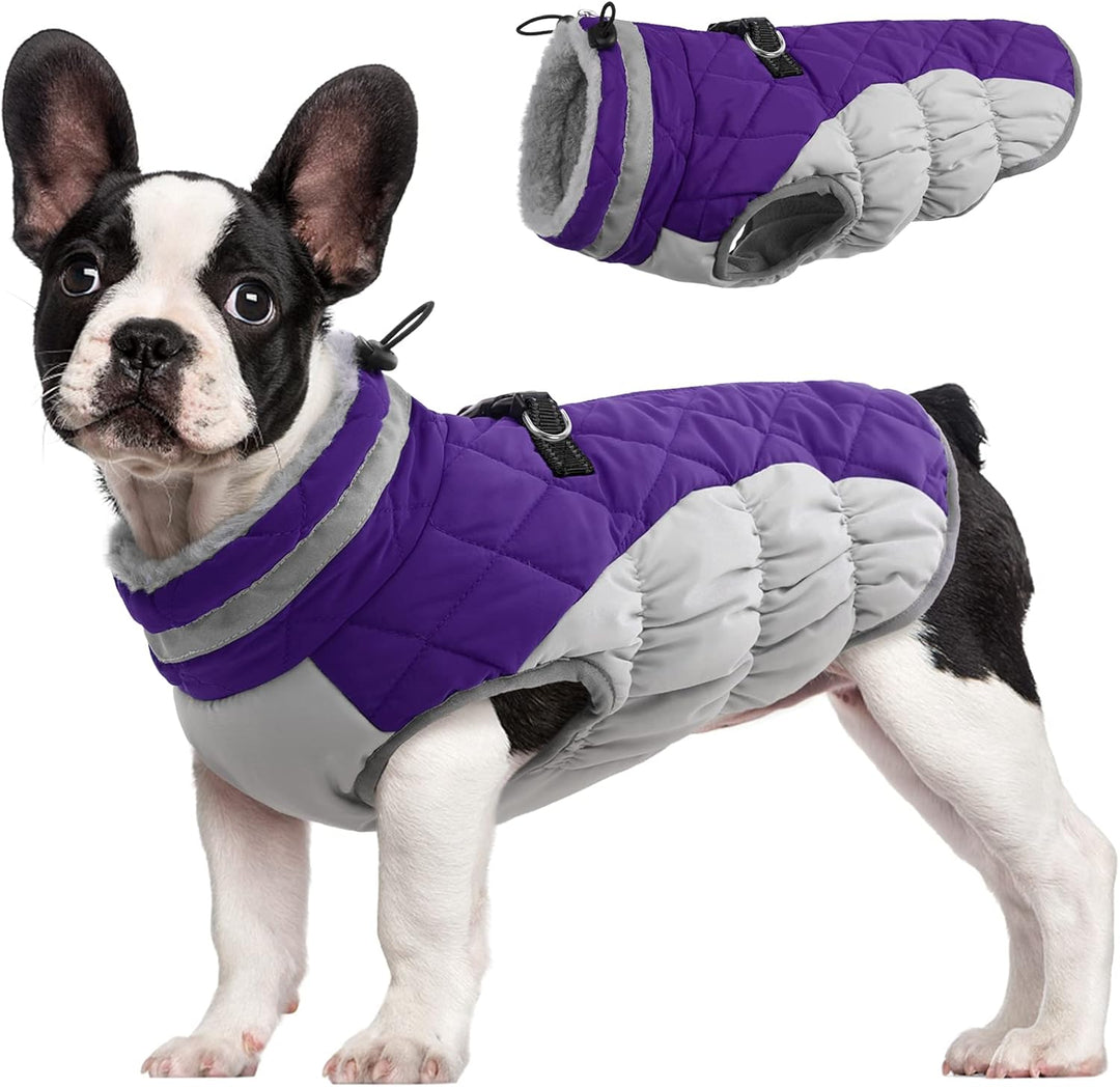 SafeWalk Winter Harness Jacket – Waterproof dog jacket with reflection and fleece lining