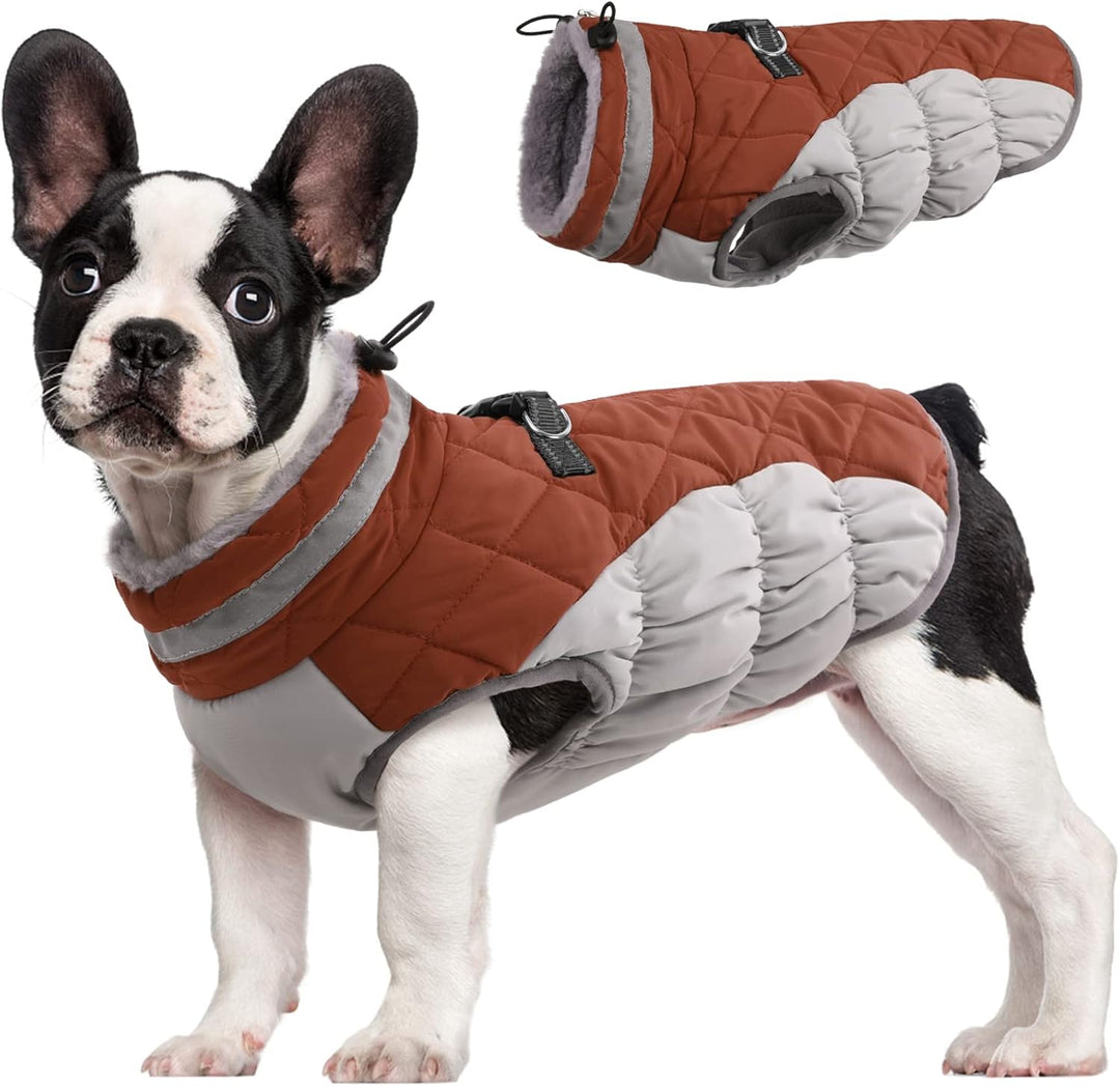 SafeWalk Winter Harness Jacket – Waterproof dog jacket with reflection and fleece lining